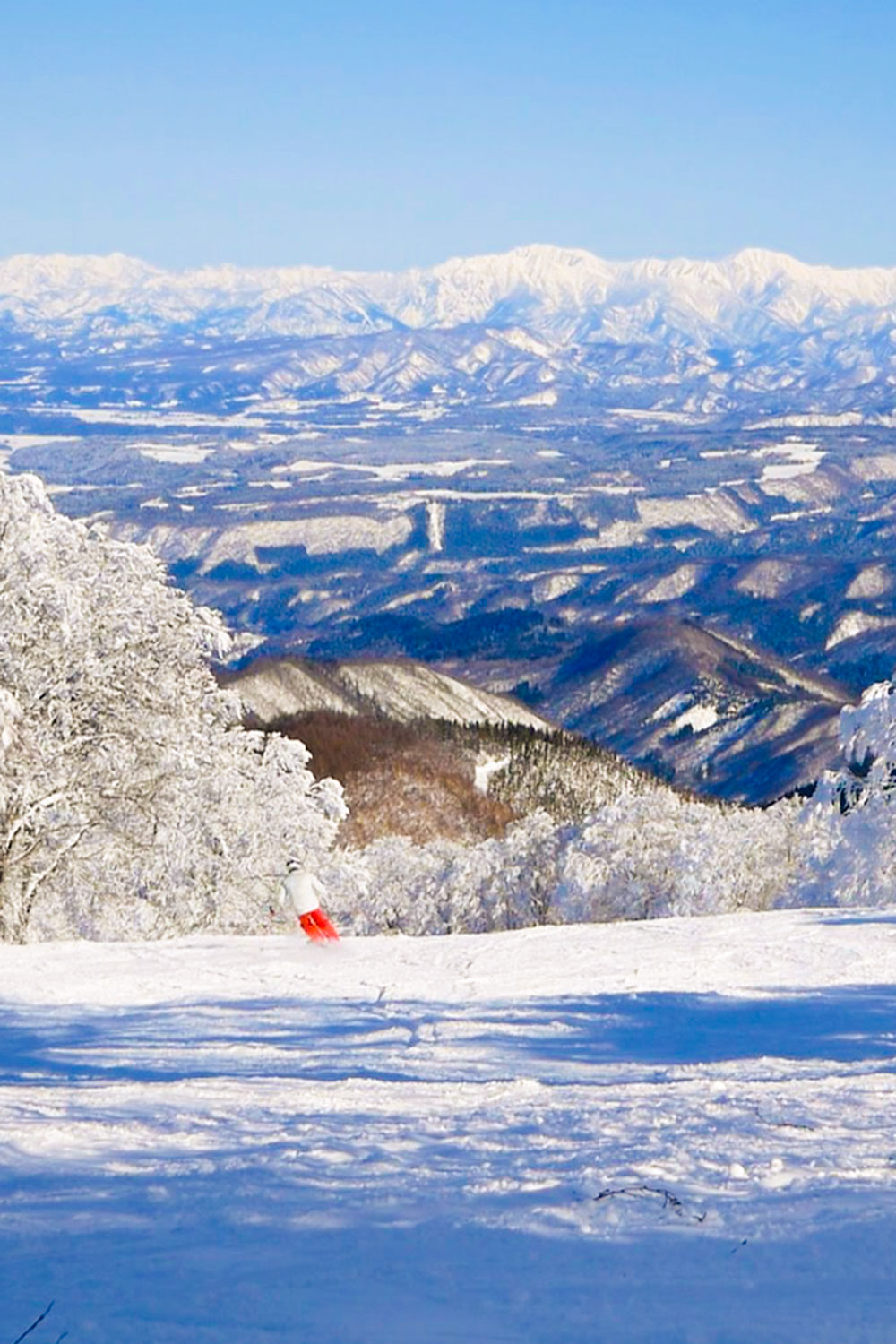 skier in red pants skiing down yamabiko d course